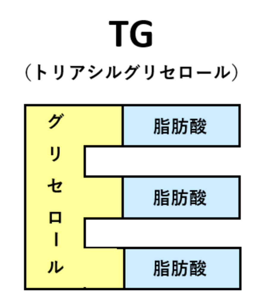 トリグリセリドの説明